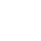 Vizio